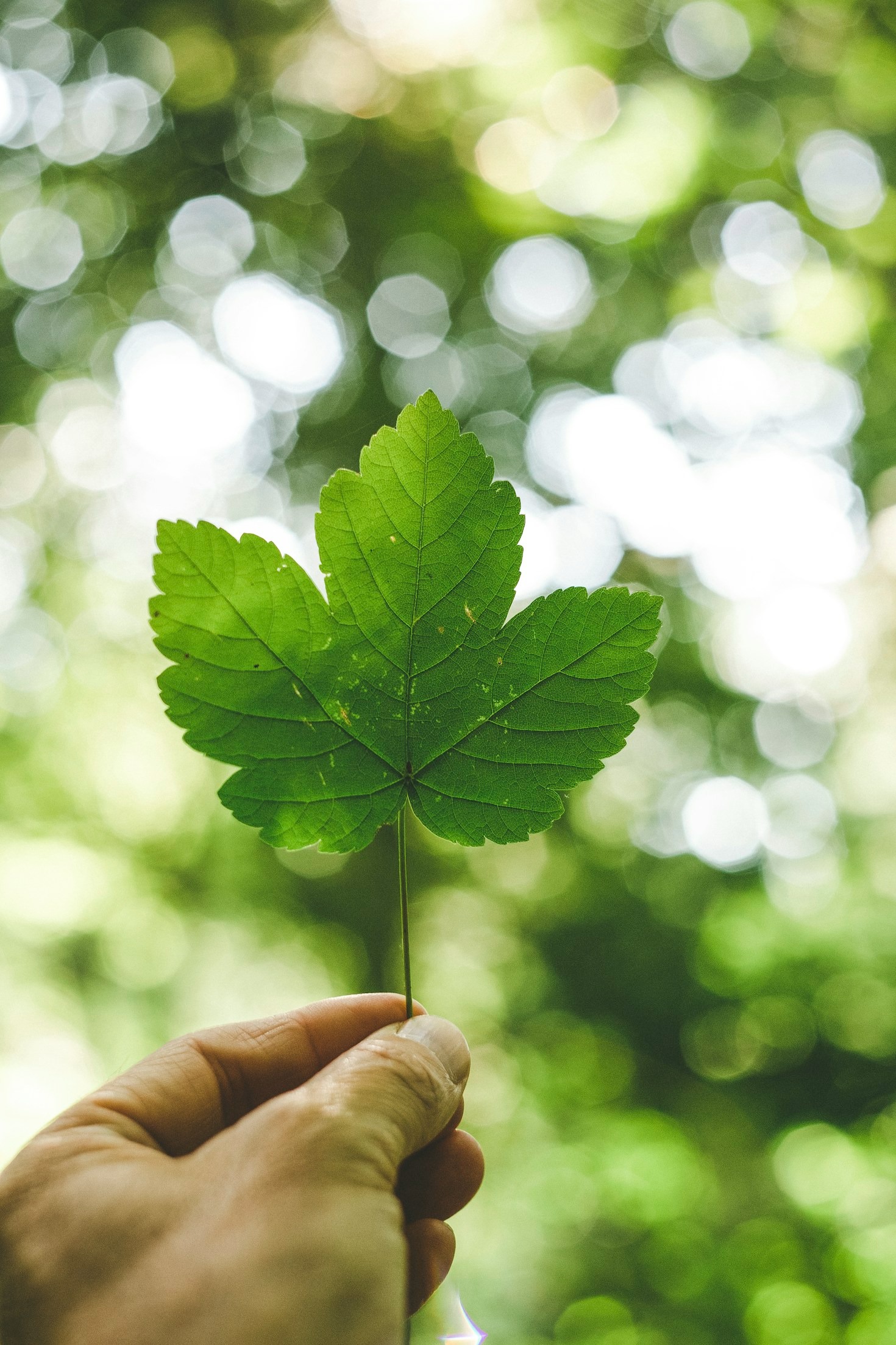 Consultoria ambiental como diferencial competitivo